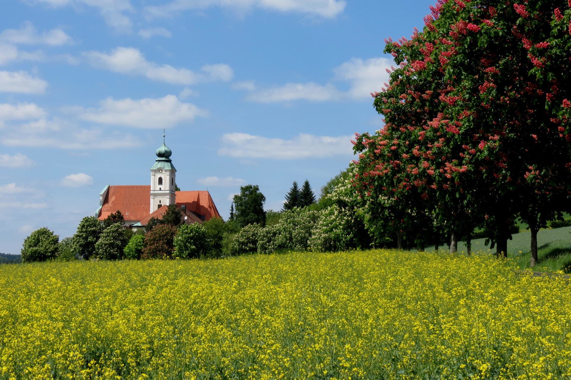 Neustadt an der Waldnaab neustadtineuropa.de