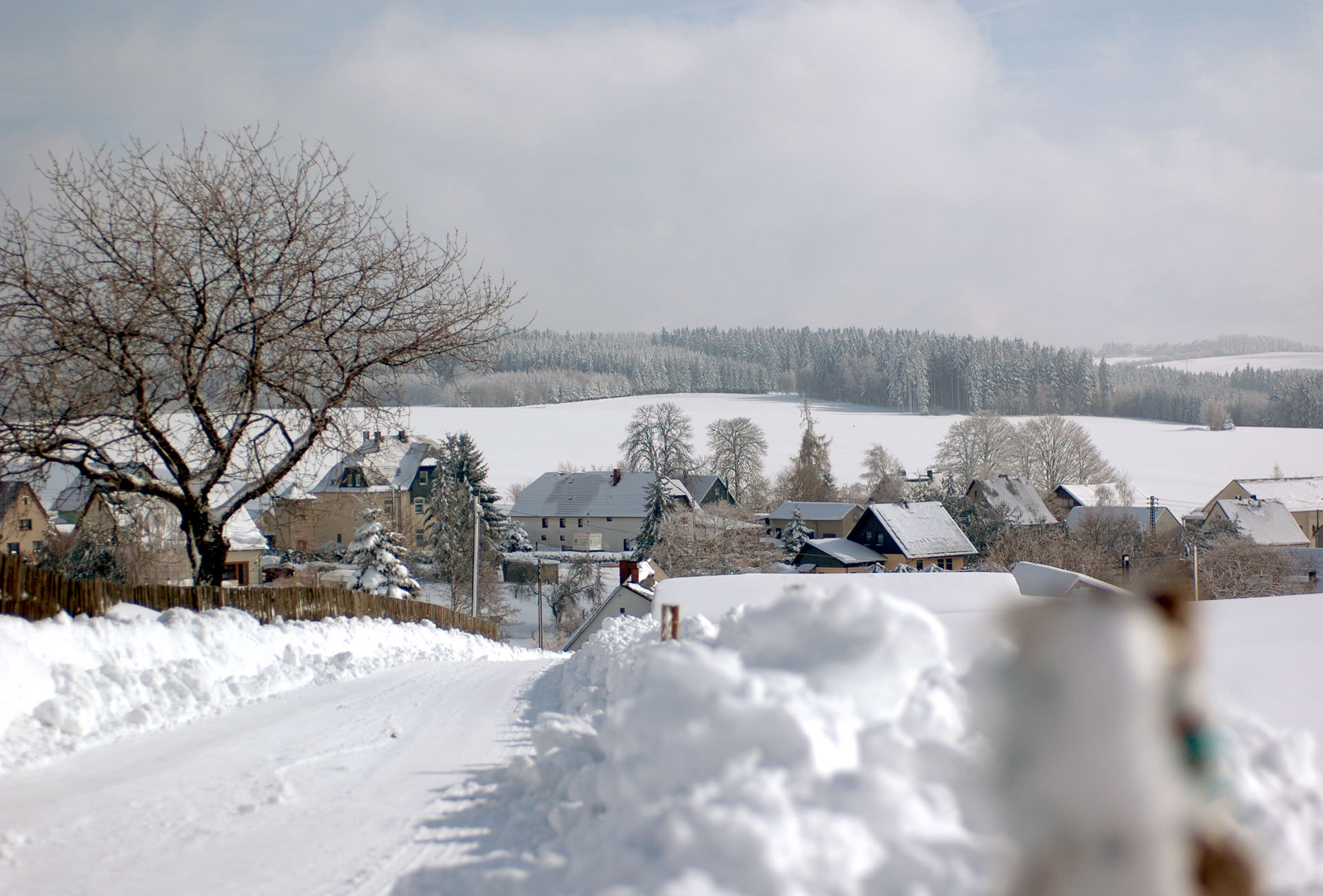 Neustadt/Vogtland neustadtineuropa.de